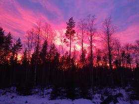 IMG_20200101_153613241